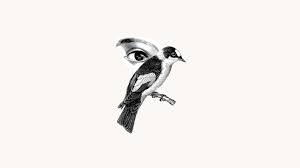 le sourcil